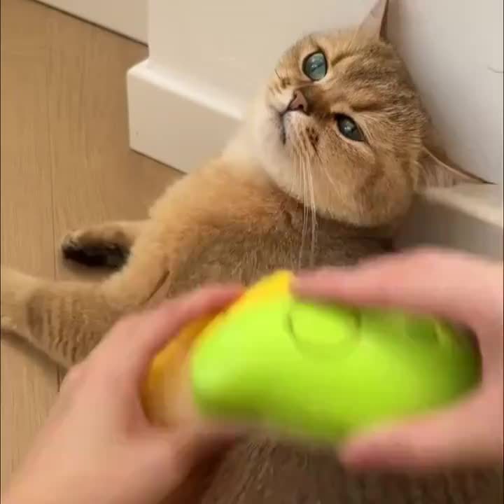 3-in-1 Rechargeable Cat Grooming Brush with Static Protection Technology - USB-Powered Pet Hair Remover, Massager & Cleaner, Ergonomic Design for Effective Fur Removal & Cat Care, Cat Brush for Shedding And Grooming, Handheld
