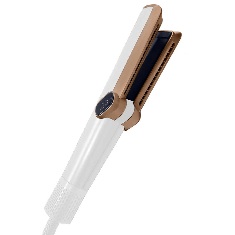 Multi Styler 2in1 LCD Display Hair Dryer Wet and Dry Hair Straightener Ion Portable Air Styling Hair Straighten